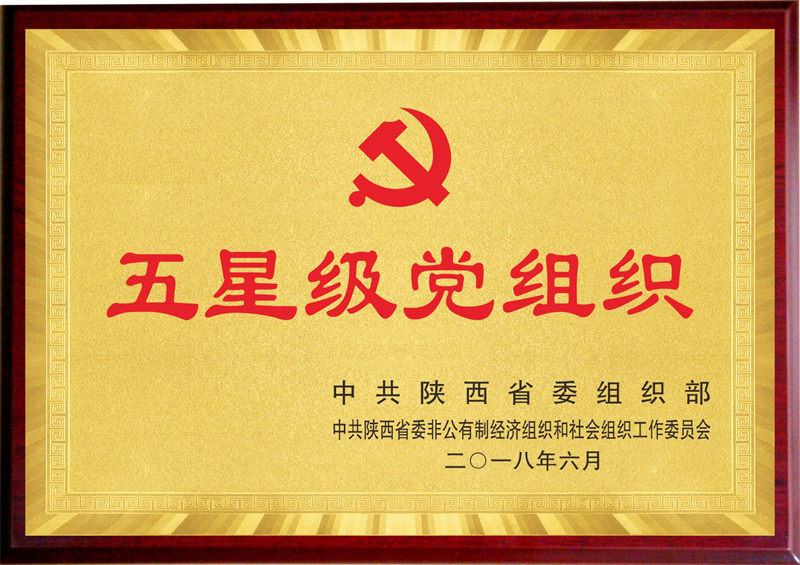 五星級(jí)黨組織