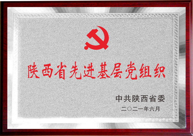 陜西省先進(jìn)基層黨組織